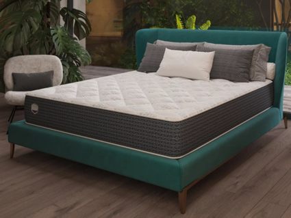 Матрас Alfabed Terra Soft 40